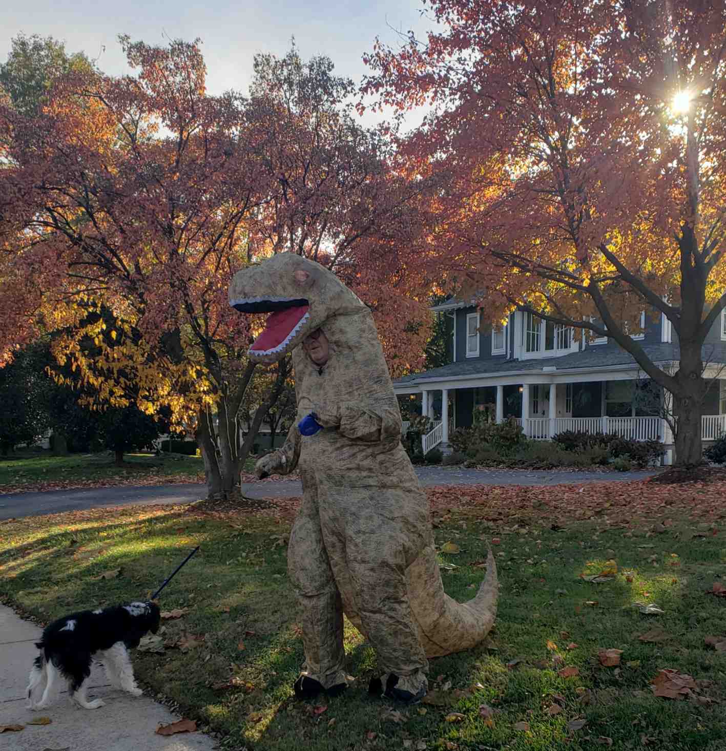 2020-10-31 Halloween Randy dog walking.jpg